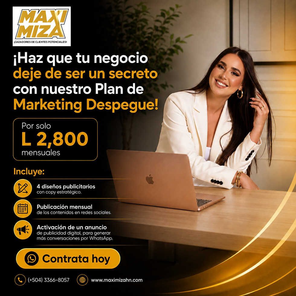 Plan Despegue Maximiza