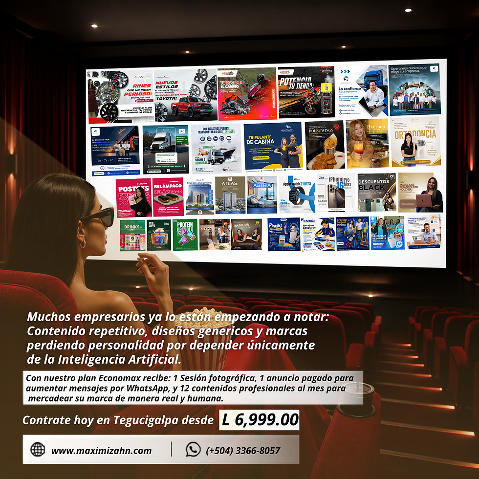 Plan de Marketing Economax 2026