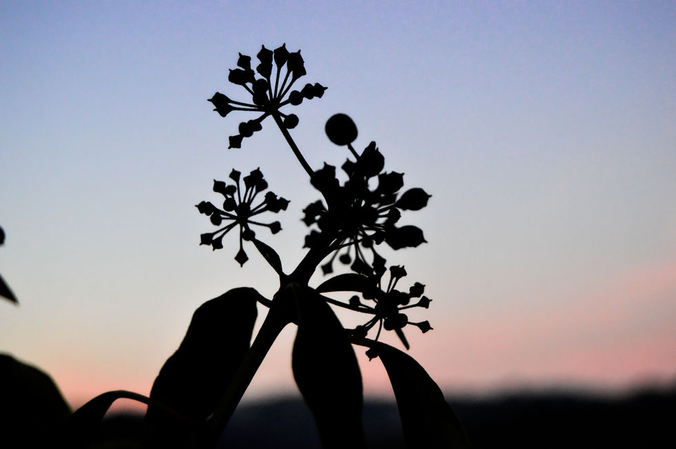 Gerês, Portugal, 2019