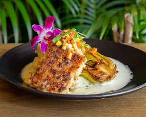 mahi mahi.jpeg
