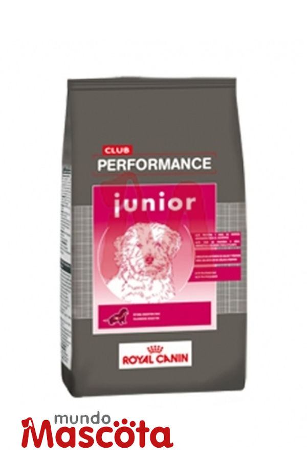 Royal Canin Performance Cachorro x 15 kg