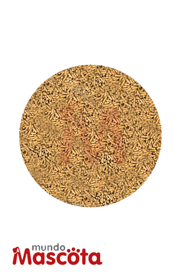 Conejo comun cereales alimento Mundo Mascota Moreno