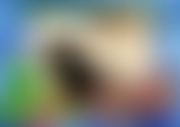 waarin een klein eiland groot kan zijn.