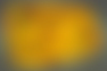 Meer over barnsteen en Texel