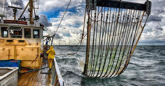 Duikers ruimen 750 kg. aan verloren visnetten op.