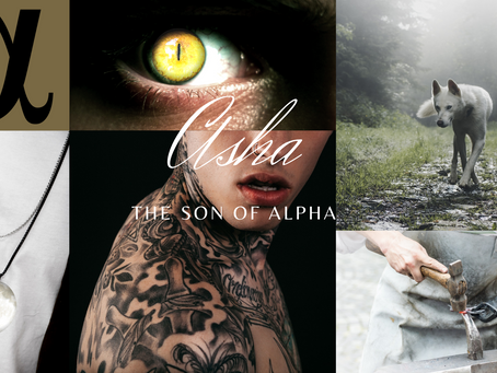 Asha : le fils de l'Alpha