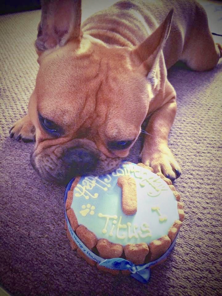 Now how cute is Titus?!