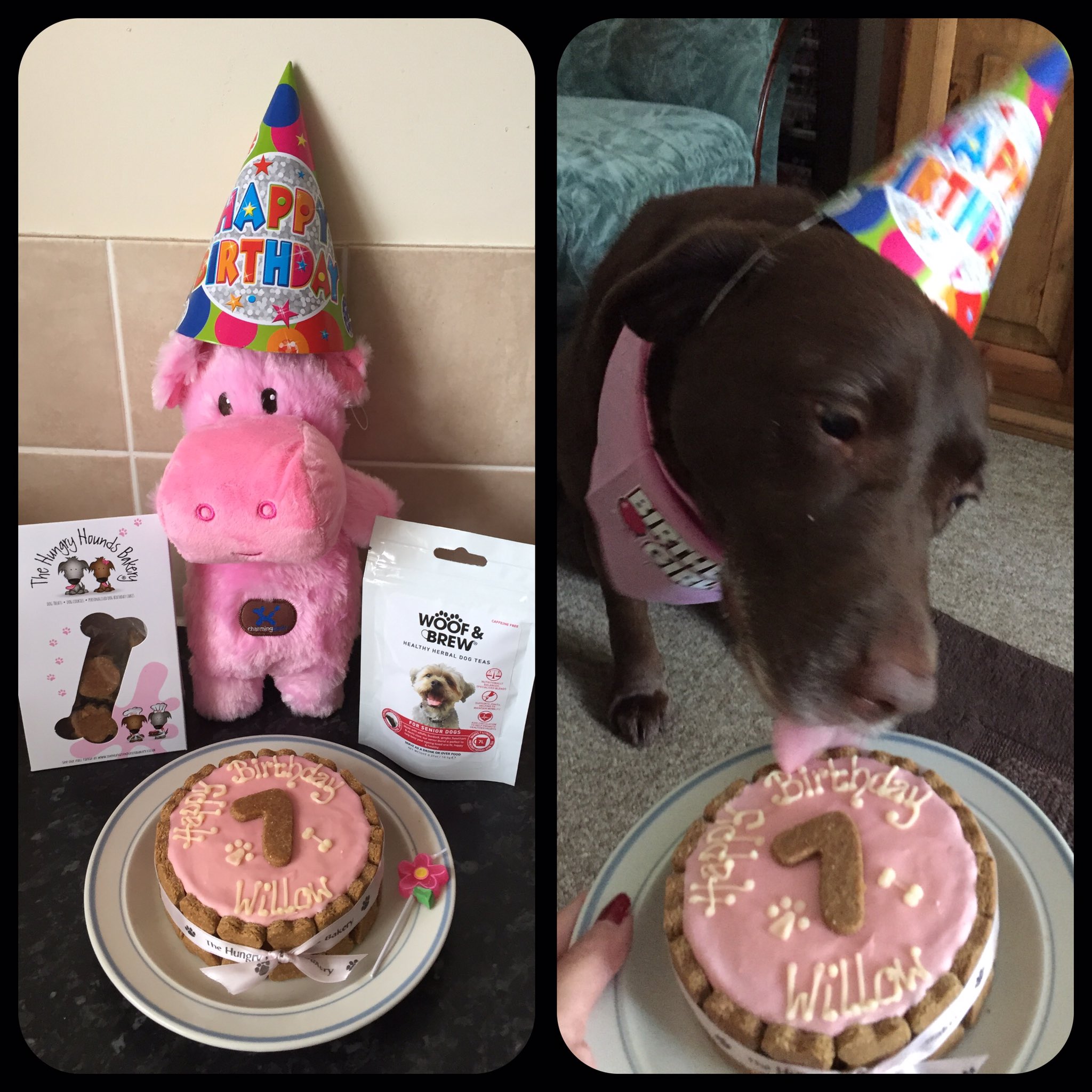 Willow's 7th Birthday