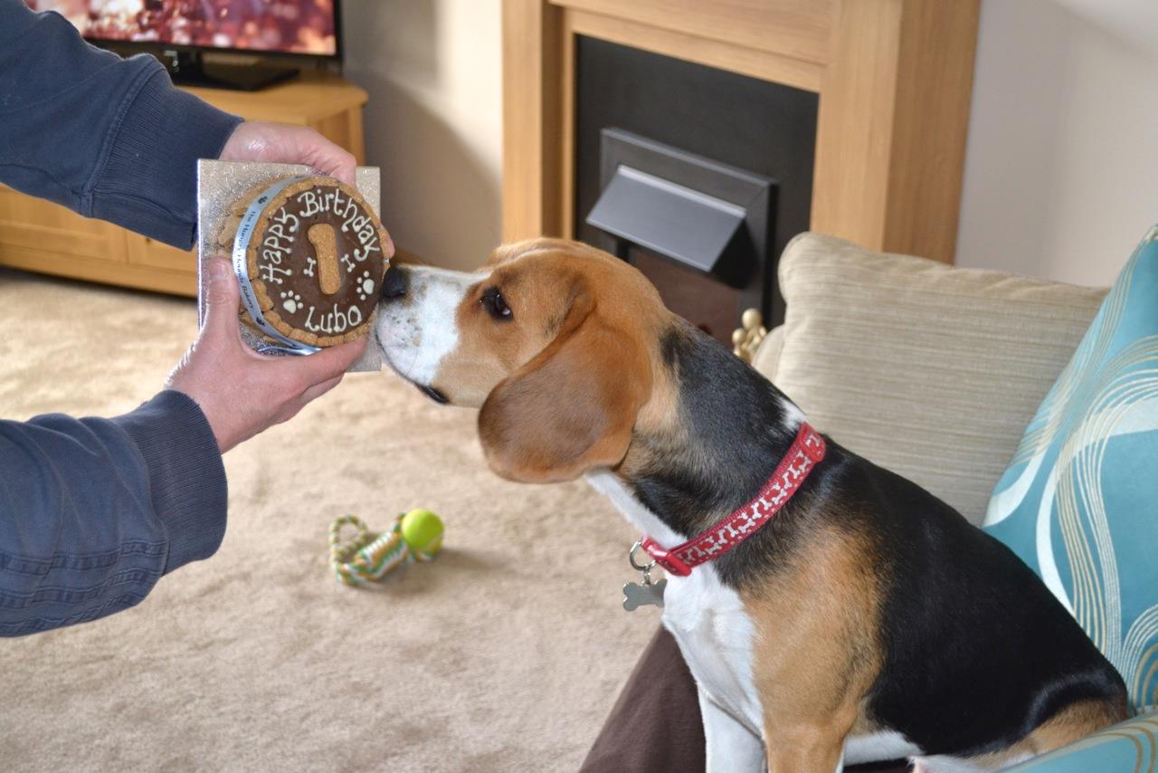 Lubo loved his cake ..