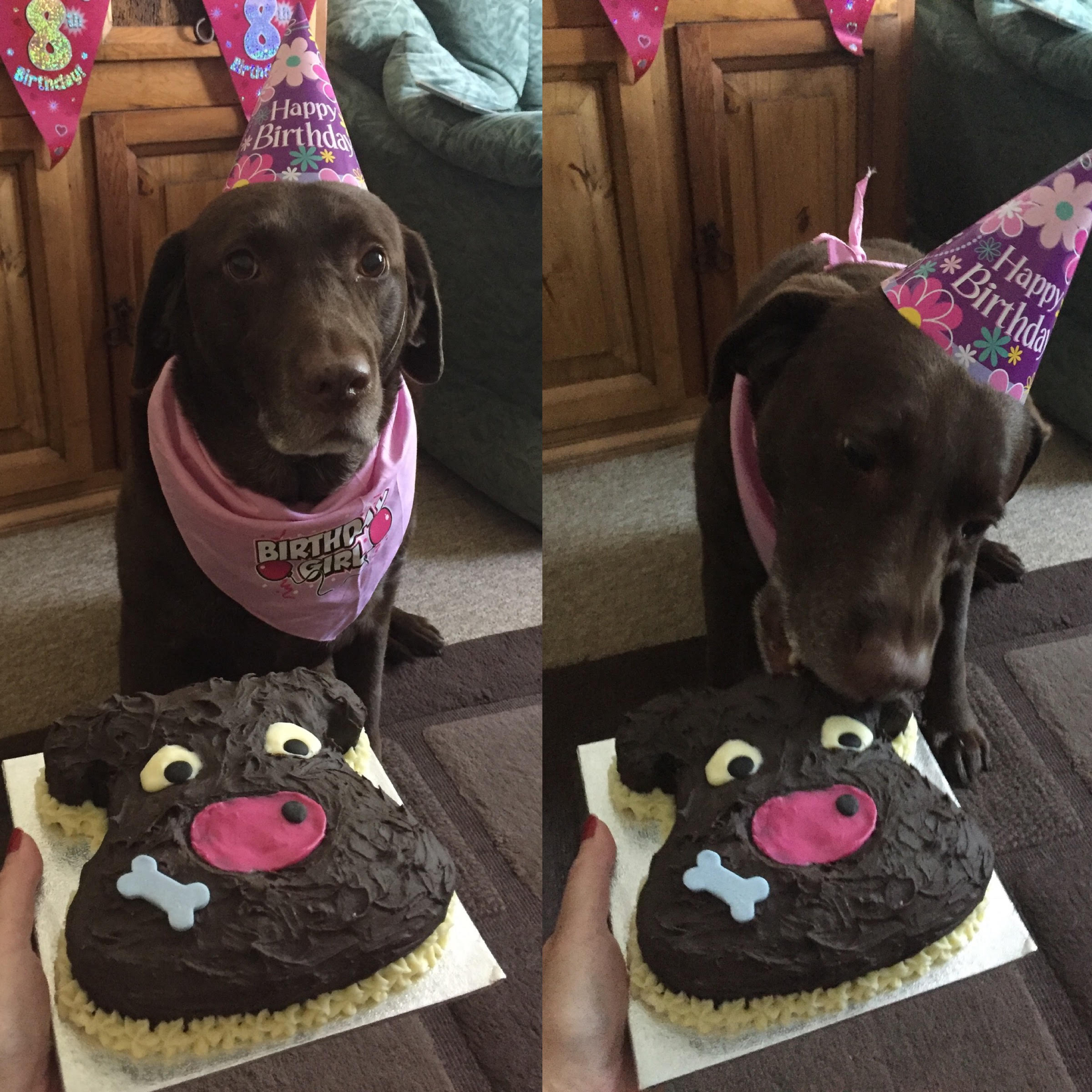Willow with her Barney cake!