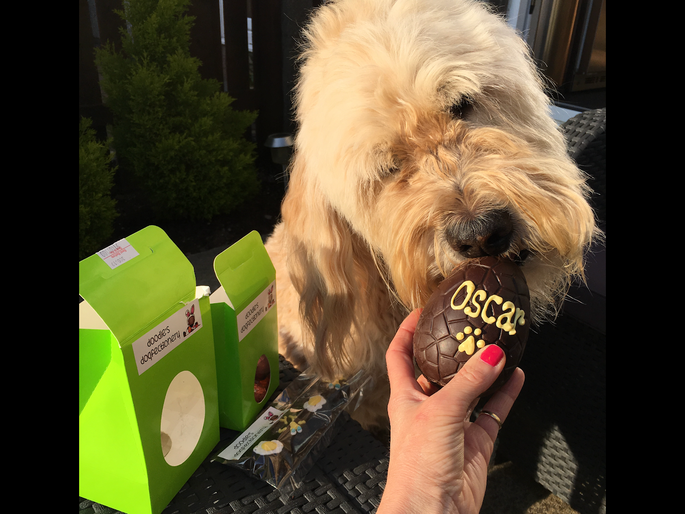 Oscar with his Easter treats