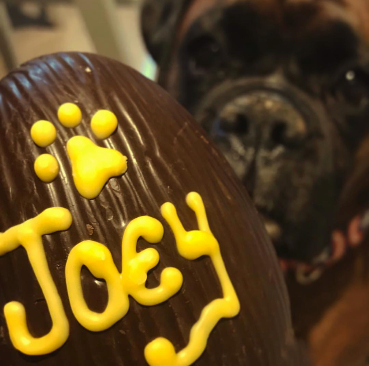 Joey!