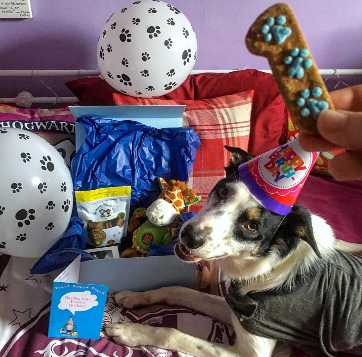 1st Birthday Bash