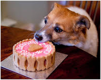 Gorgeous Candy with her cake