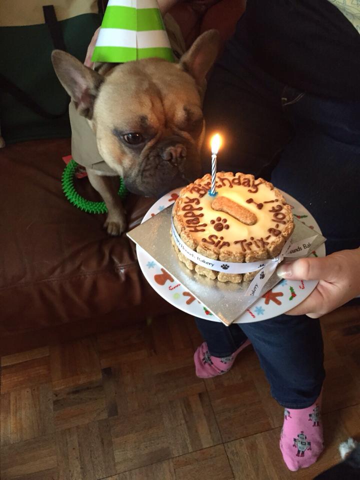 Tricky's 1st Birthday party