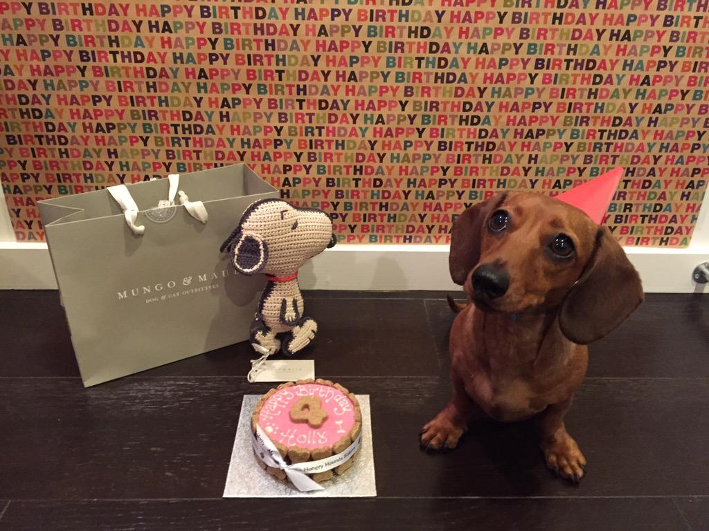 Holly turns 4