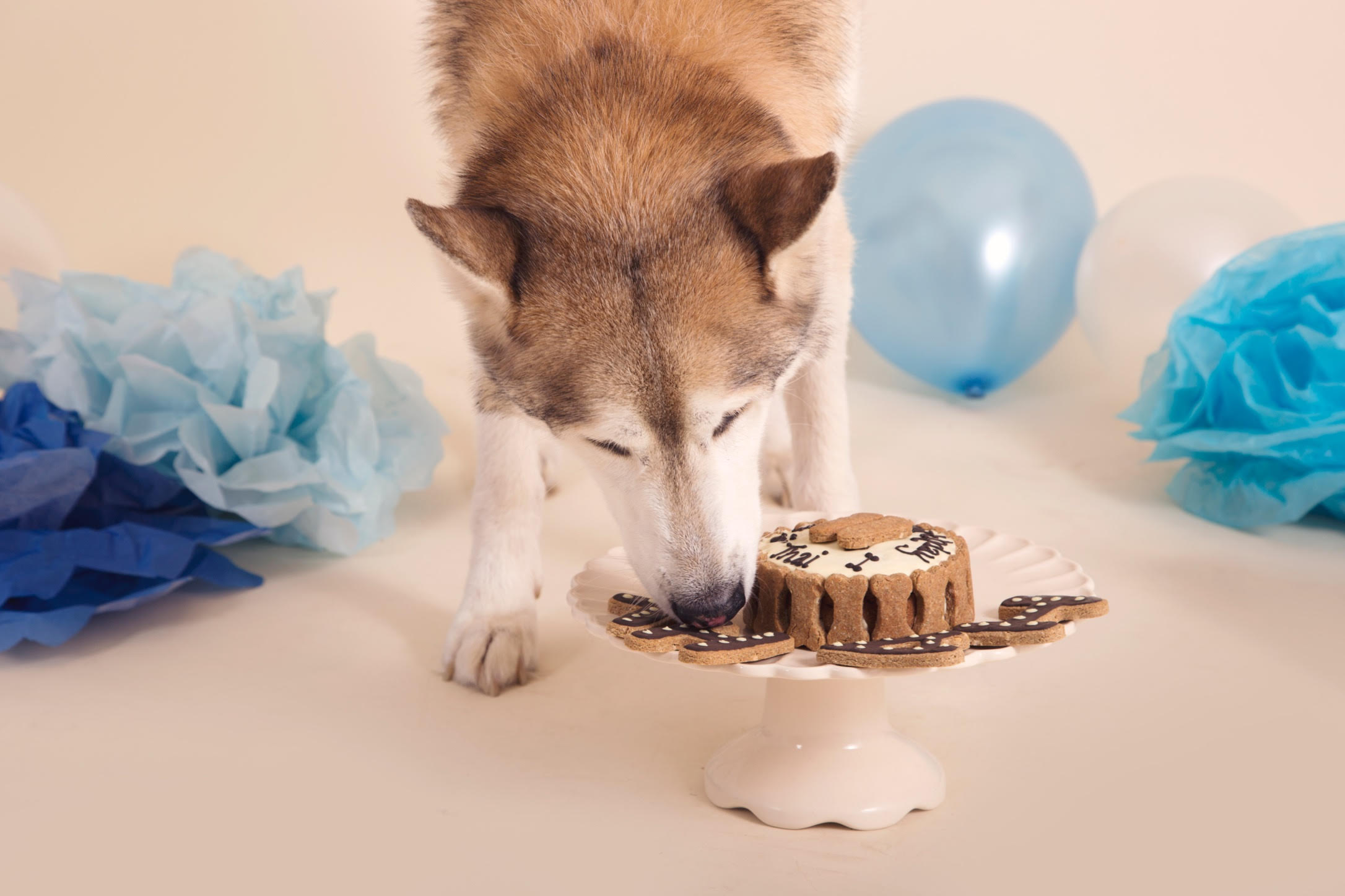 Thai on his 11th Birthday