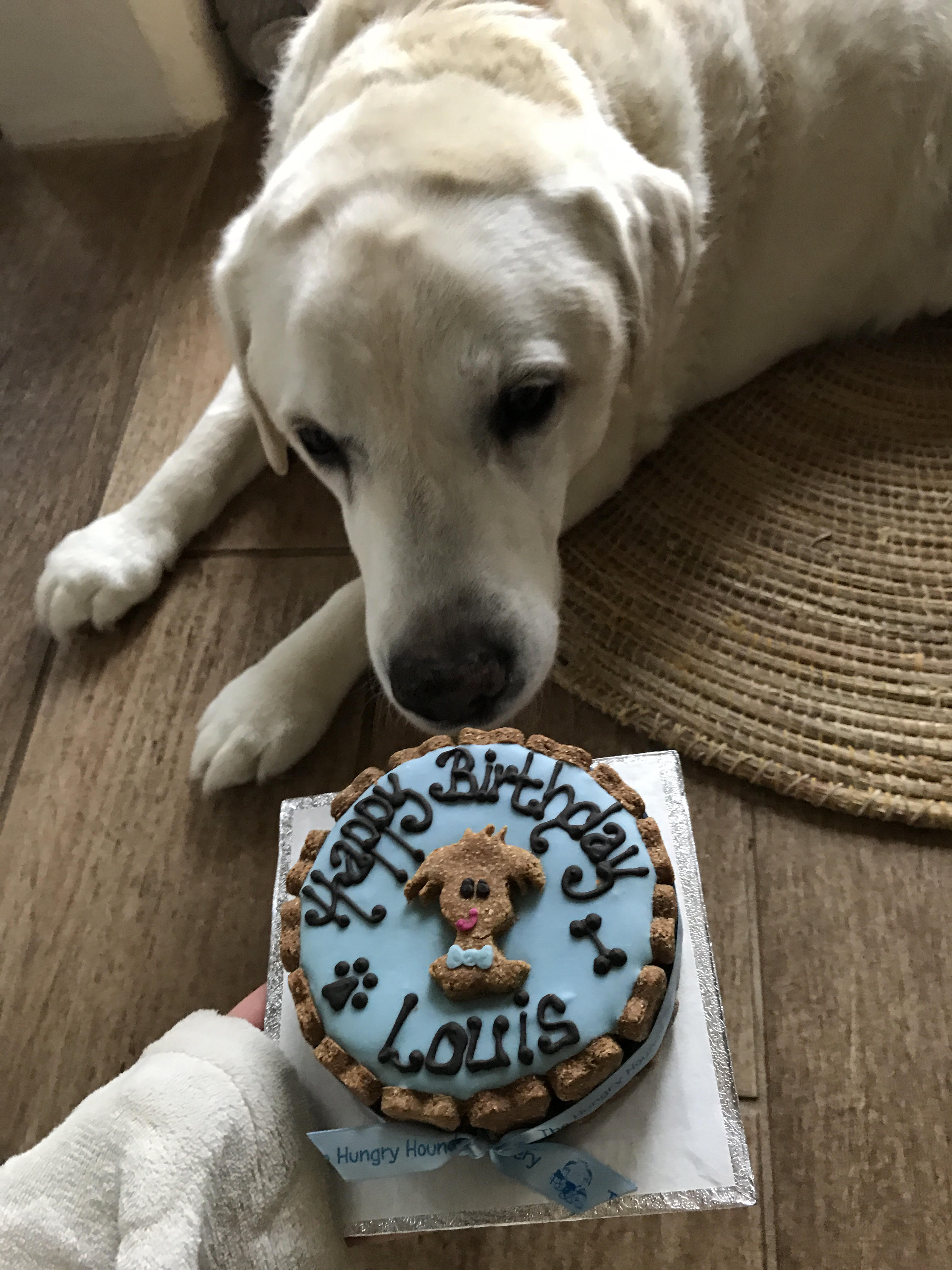Louie loved his cake!