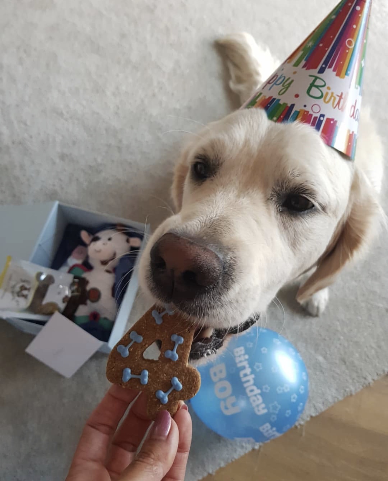 Hudson's 4th Birthday