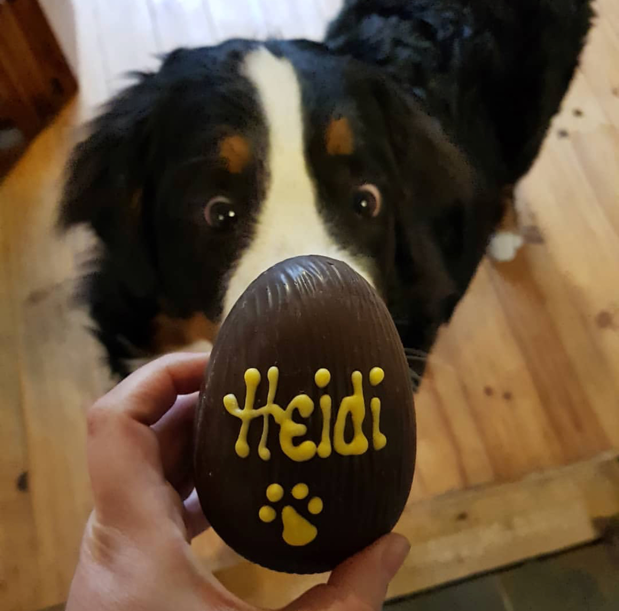 Gorgeous Heidi