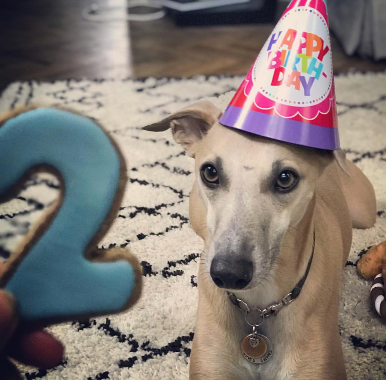 Birthday Boy Wilf