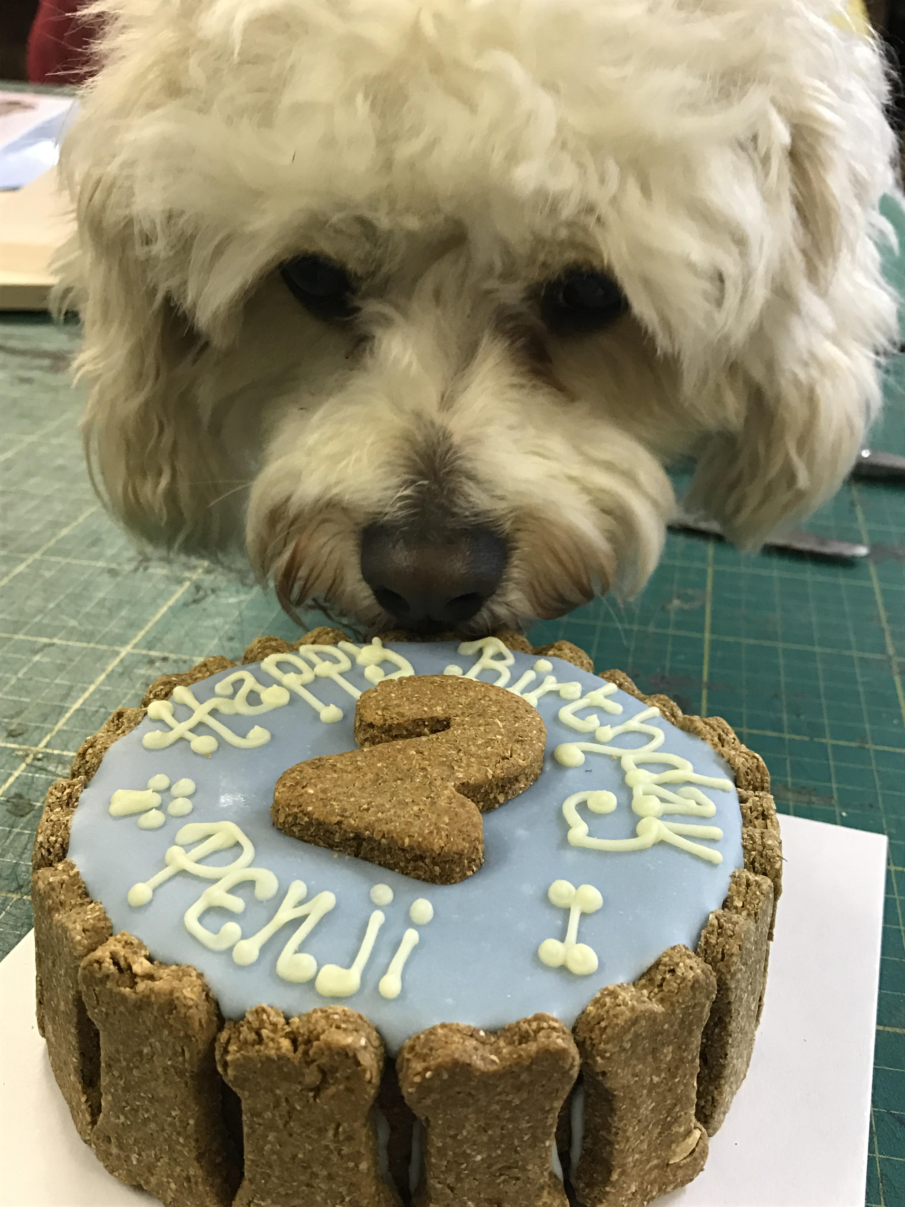 Penji on his 2nd Birthday