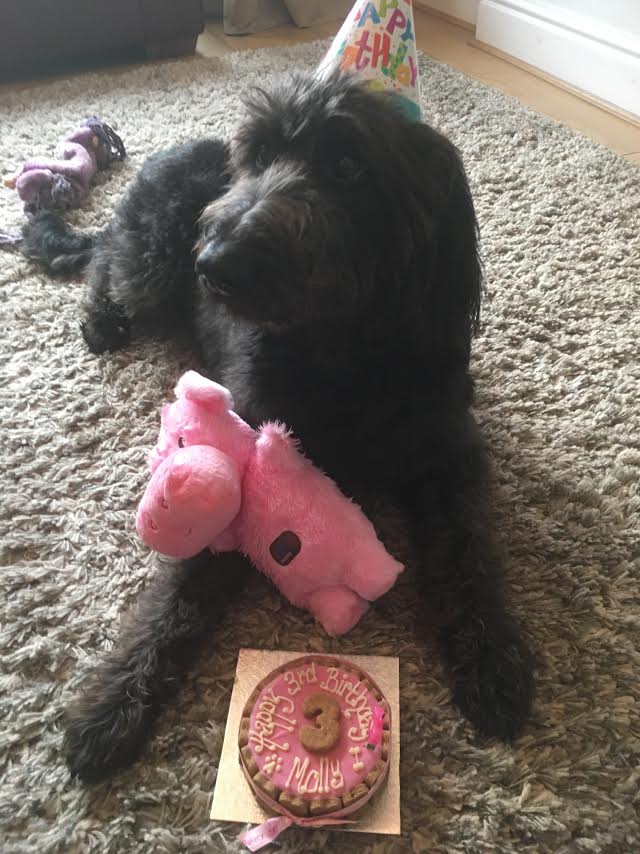 Just me & my Pig, oh & cake!