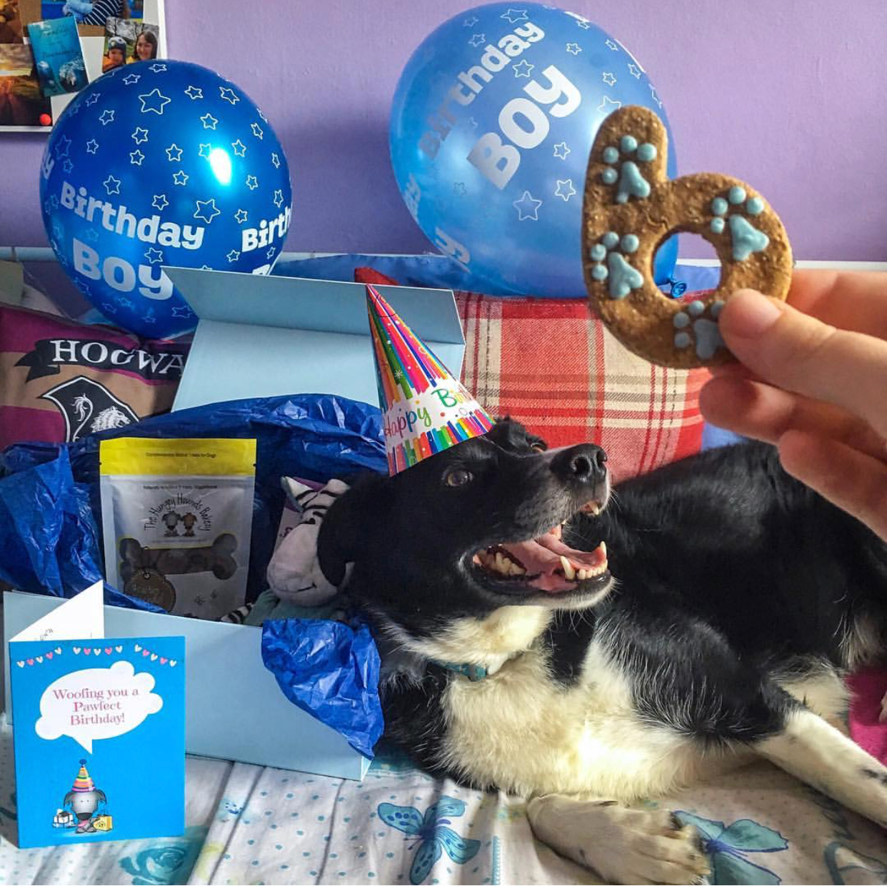 Orson's 6th Birthday