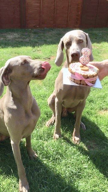 Lovely Lexi turns 3