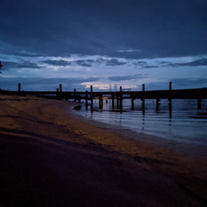Early Bird Photography