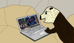 [250] Rosa watching the 14 hour stream!