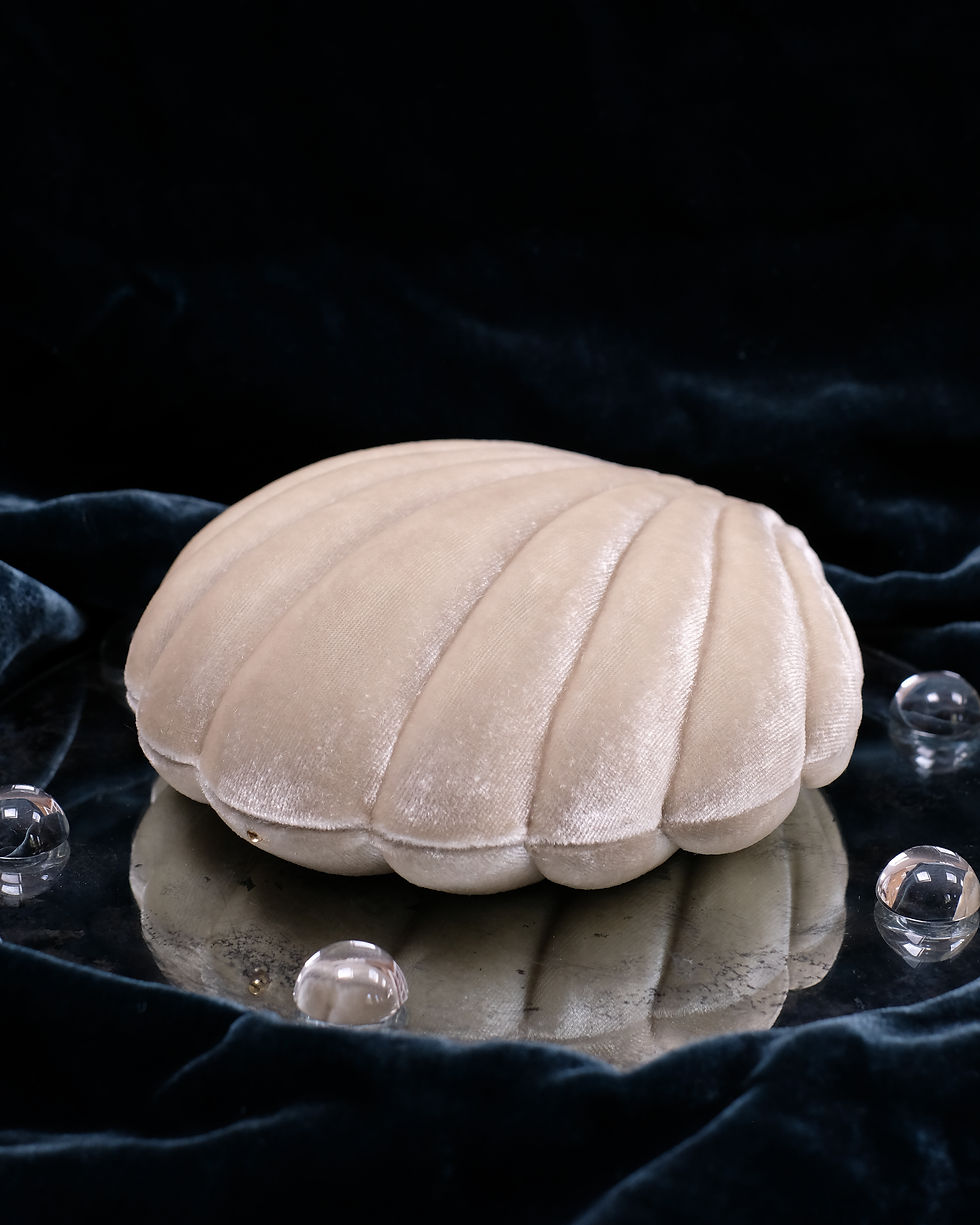Thumbnail: Tusk Velvet & Ice Green Silk | Sirene Box | Scallop 13-Slot