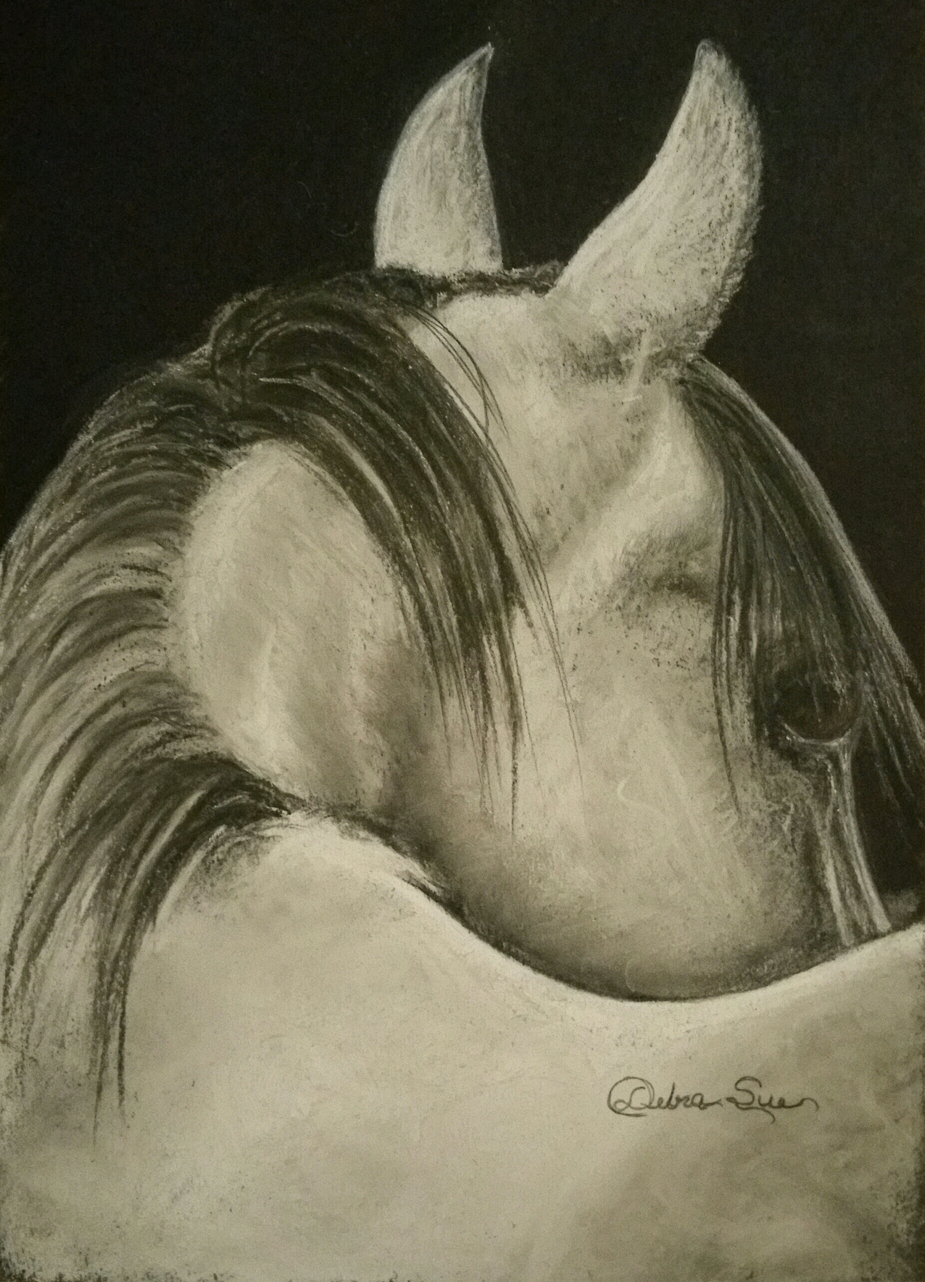 Gray Horse