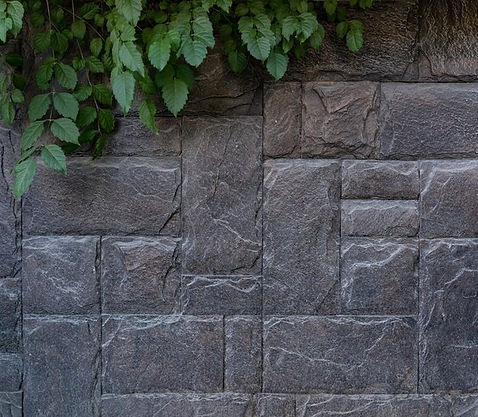 modern-stone-brick-wall-background-with-green-plant-stone-texture-with-copy-space_158595-6