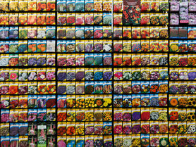 Introducing the WAND Wholesale Taxonomy