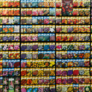Sourcy’s Guide to Wholesale Trends in 2025
