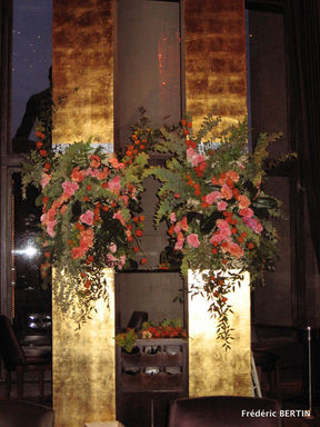 1-IMG_3300.jpeg