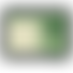Web Theme Graphic 
