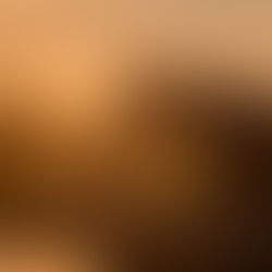 朝日のあたる 工藝の店