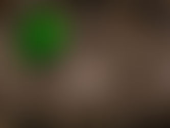 【禪印人生,人生即禪】