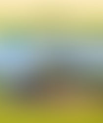 Nakládka dřeva na Třebíčsku