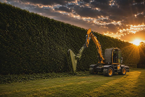 Hedge trimming Canterbury by Trust Trees Ltd