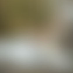 Coleção Le secret royal por Galia Lahav