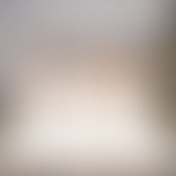 Lela Rose Spring 2020