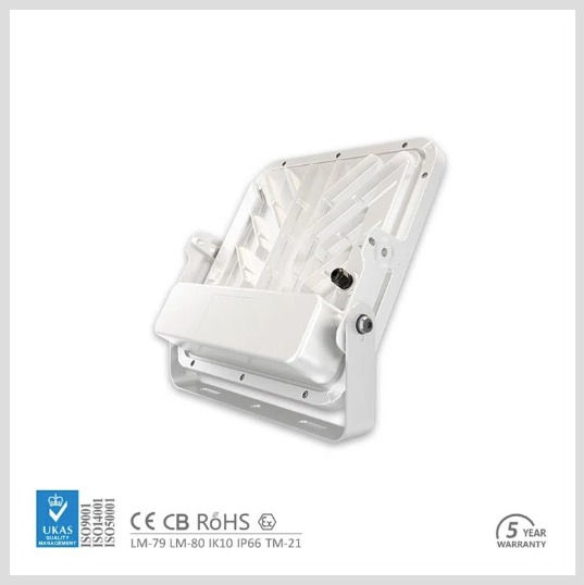 Miniatura: Luz LED Canopy empotrable de 120W y 5000K