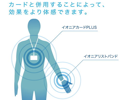 Cイラスト.png