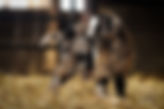 Moonspotted fainting goat