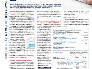 Salary Tax and Tax Return (PPW No.581)