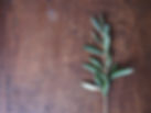picture of olive branch on wooden background