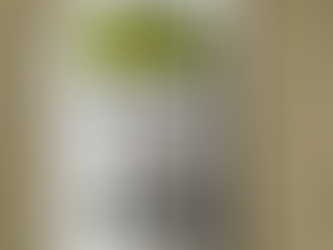 太陽の霧 入荷しました。